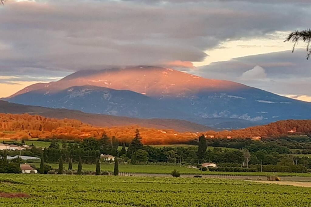 Le clos des pins, vue mont Ventoux Roaix Extérieur photo